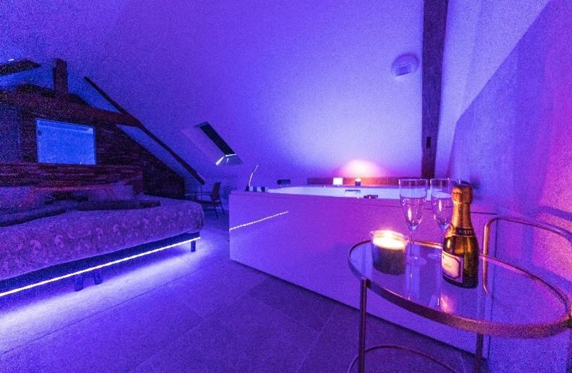 L'Evasion-Spa-Hammam-Sauna Illimite - 2 A 4 Pers Saint-Cyr-sur-Loire Exterior photo